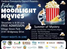 Friday Moonlight Movie Sponsor | Rancho Cordova FiberCity®