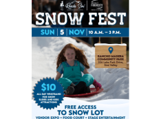 Snow fest poster