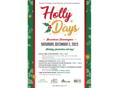 Holly Days poster