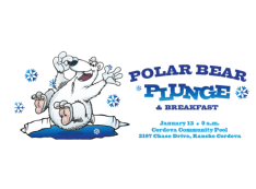 Polar bear plunge